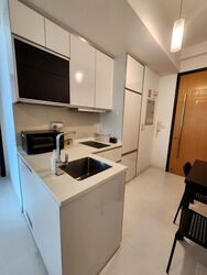 Loft @ Stevens (D10), Apartment #541157281